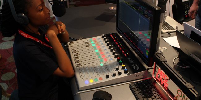 Koko with Synergy Bronze studio